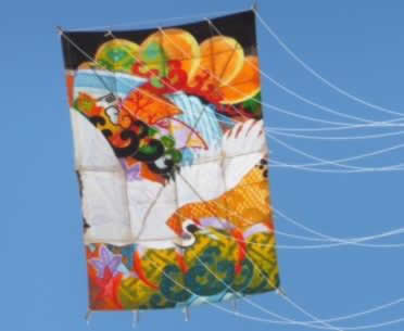 08-14 Japanese Kite