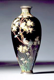 Apr 25, 2024 Meiji Aesthetics - Hollis Goodall